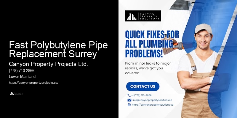 Home Value Increase with Polybutylene Replacement Fast Polybutylene Pipe Replacement Surrey