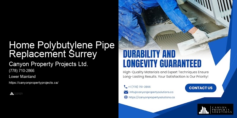 Licensed Polybutylene Replacement Companies Home Polybutylene Pipe Replacement Surrey