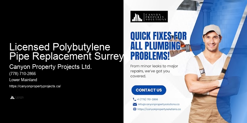 Licensed Polybutylene Pipe Replacement Surrey Polybutylene Pipe Replacement with Warranty