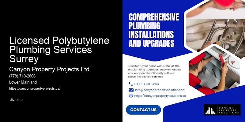 Best Price Polybutylene Pipe Replacement Licensed Polybutylene Plumbing Services Surrey