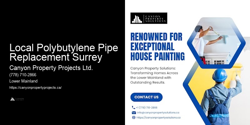 Affordable Polybutylene Pipe Replacement Local Polybutylene Pipe Replacement Surrey