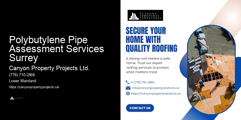 Polybutylene Pipe Replacement Quality Assurance Polybutylene Pipe Assessment Services Surrey