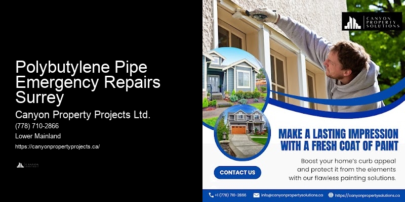 Polybutylene Pipe Issue Detection Polybutylene Pipe Emergency Repairs Surrey