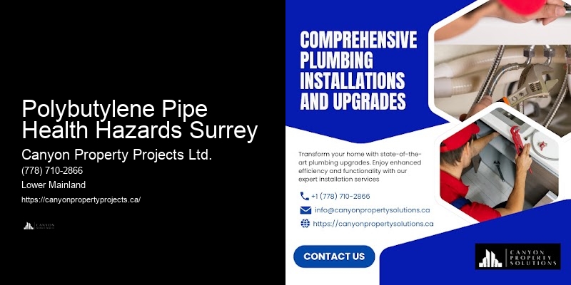 Polybutylene Pipe Replacement for Leaking Pipes Polybutylene Pipe Health Hazards Surrey