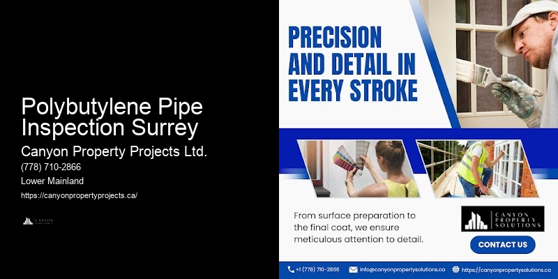 Polybutylene Pipe Inspection Surrey Polybutylene Replacement for Property Managers
