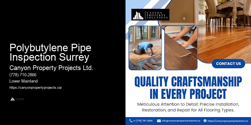 Best Polybutylene Pipe Contractors Polybutylene Pipe Inspection Surrey