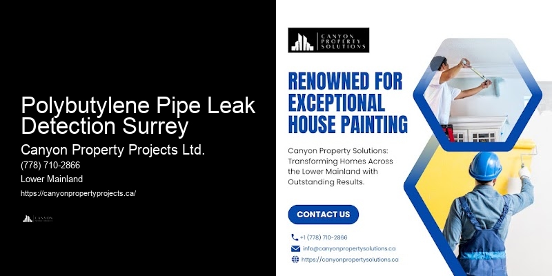 Polybutylene Pipe Leak Detection Surrey Plumbing Professionals for Polybutylene