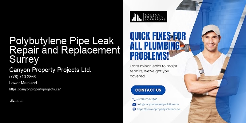 Polybutylene Plumbing Emergency Response Polybutylene Pipe Leak Repair and Replacement Surrey