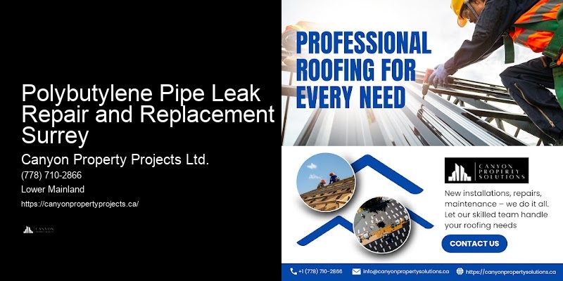 Polybutylene Pipe Health Hazards Polybutylene Pipe Leak Repair and Replacement Surrey