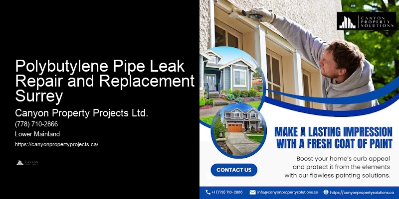 Polybutylene Pipe Project Estimates Polybutylene Pipe Leak Repair and Replacement Surrey