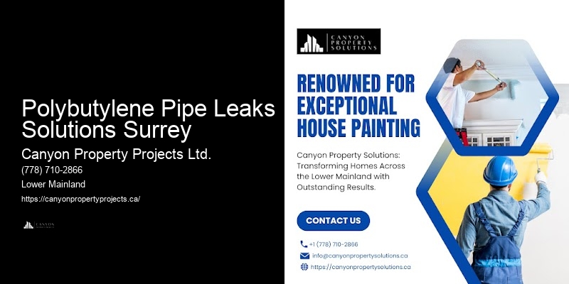 Affordable Polybutylene Pipe Replacement Plans Polybutylene Pipe Leaks Solutions Surrey