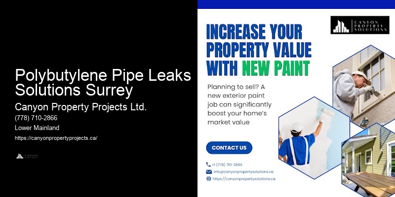 Residential Polybutylene Replacement Services Polybutylene Pipe Leaks Solutions Surrey
