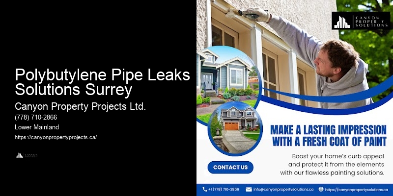 Polybutylene Plumbing for Home Renovations Polybutylene Pipe Leaks Solutions Surrey