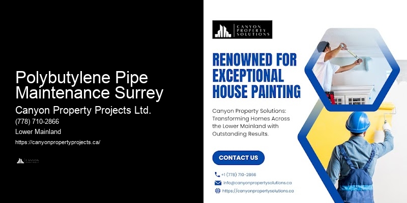 Detailed Polybutylene Replacement Estimates Polybutylene Pipe Maintenance Surrey