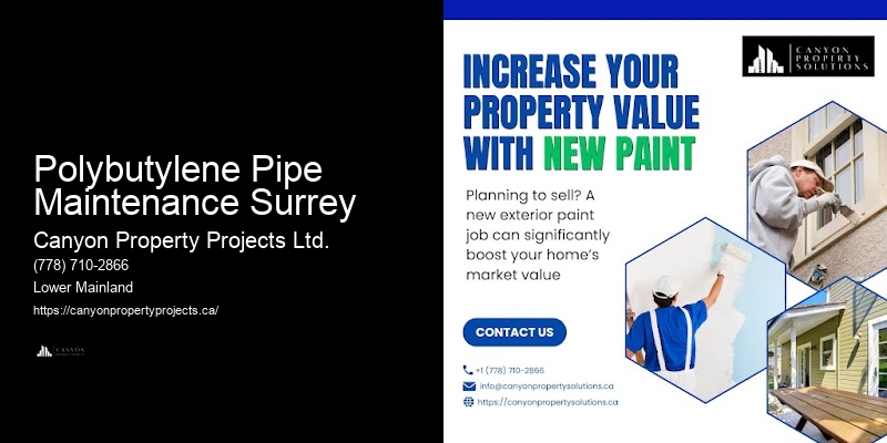 Polybutylene Plumbing Project Polybutylene Pipe Maintenance Surrey