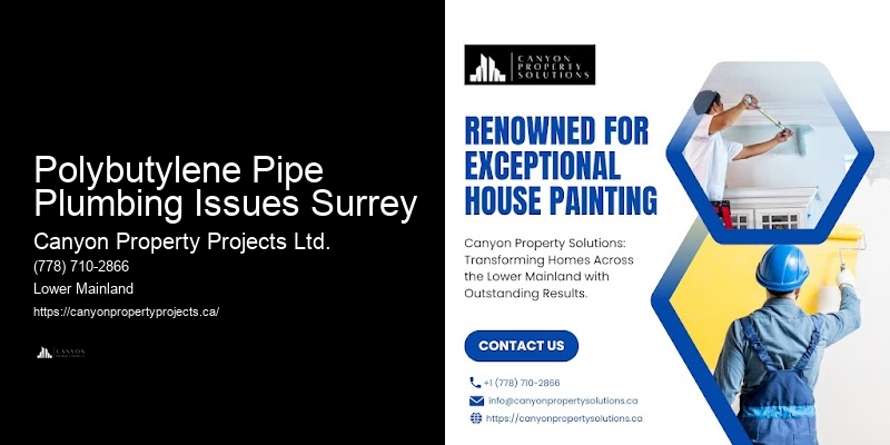 Licensed Polybutylene Pipe Replacement Polybutylene Pipe Plumbing Issues Surrey