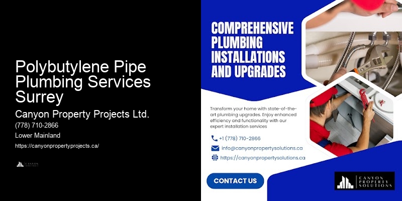 Polybutylene Pipe Inspection Checklist Polybutylene Pipe Plumbing Services Surrey