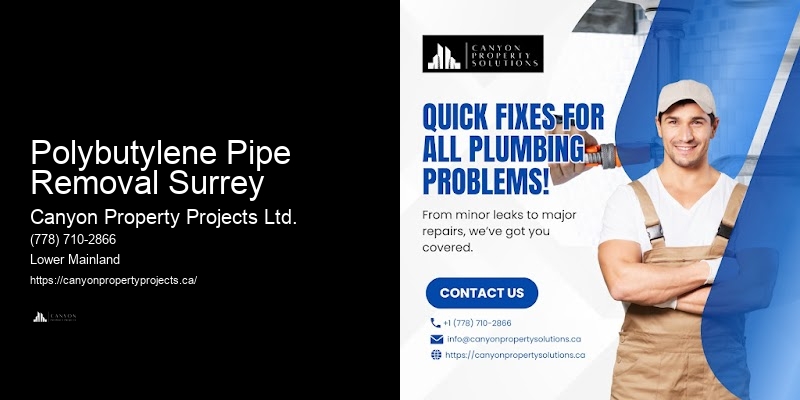 Polybutylene Pipe Removal Surrey
