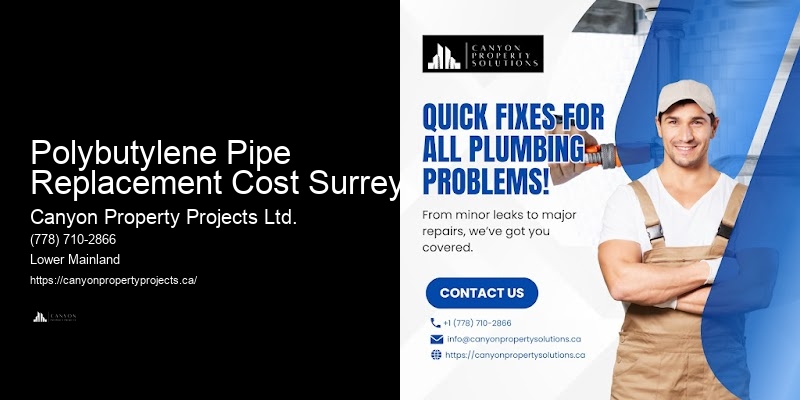 Polybutylene Pipe Replacement Cost Surrey