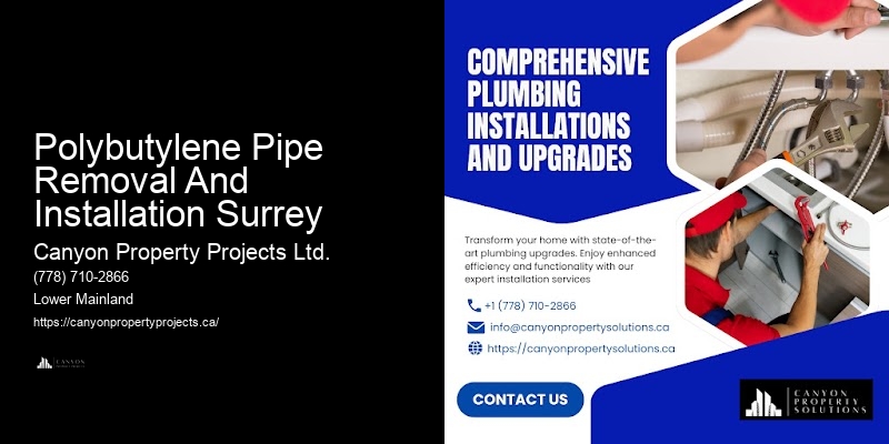 Polybutylene Pipe Replacement Specialists Polybutylene Pipe Removal And Installation Surrey