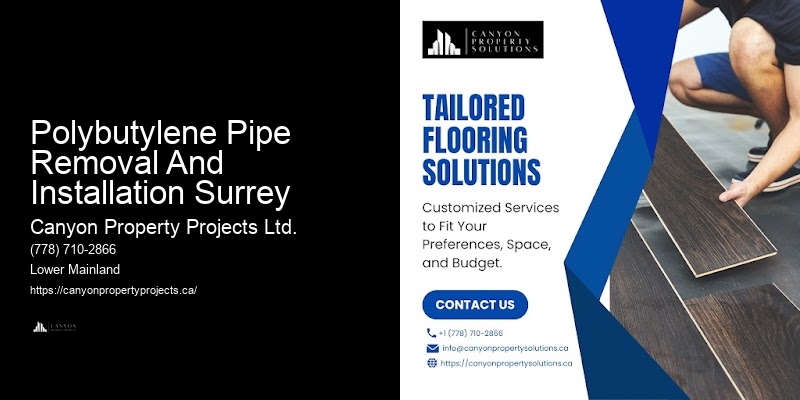 Polybutylene Pipe Replacement Polybutylene Pipe Removal And Installation Surrey for Rentals