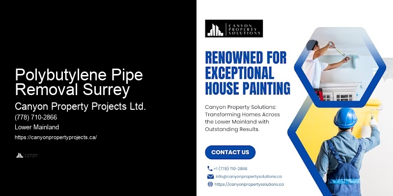 Certified Contractors for Polybutylene Pipe Replacement Near Me