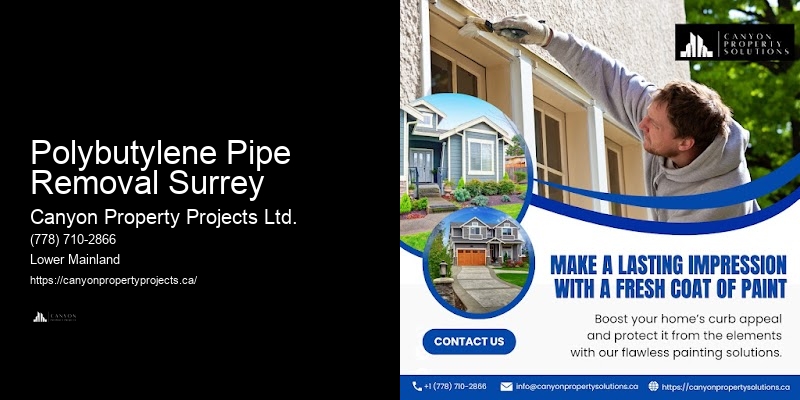 Polybutylene Pipe Leaks Solutions Polybutylene Pipe Removal Surrey