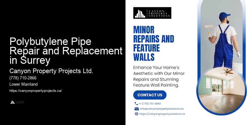Local Polybutylene Plumbing Experts Polybutylene Pipe Repair and Replacement in Surrey