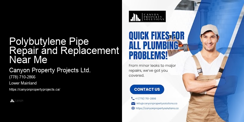 Polybutylene Pipe Management Services Polybutylene Pipe Repair and Replacement Near Me