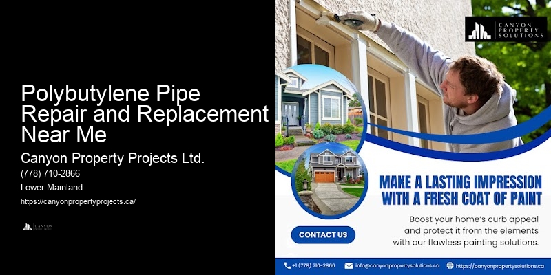Polybutylene Plumbing Replacement Polybutylene Pipe Repair and Replacement Near Me