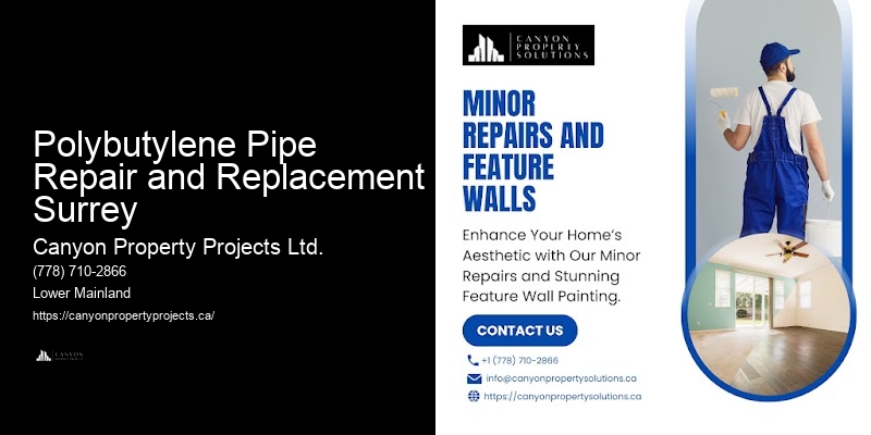 Polybutylene Pipe Replacement Options for Homes in Polybutylene Pipe Repair and Replacement Surrey