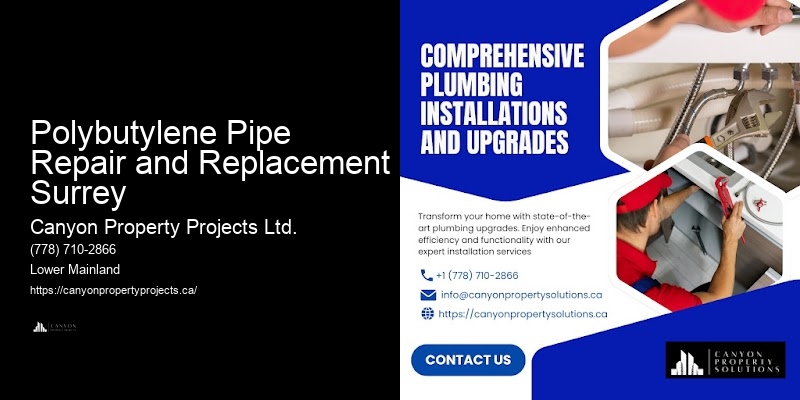 Professional Polybutylene Pipe Replacement Polybutylene Pipe Repair and Replacement Surrey