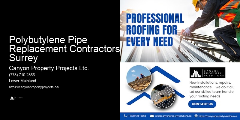 Fast Polybutylene Plumbing Services Polybutylene Pipe Replacement Contractors Surrey