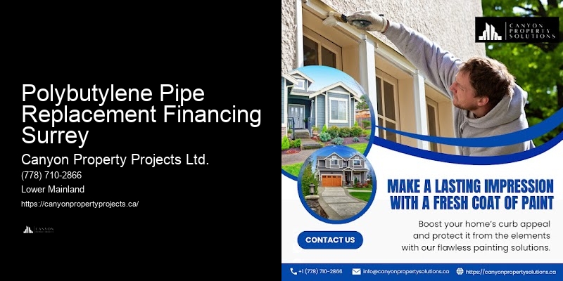 Polybutylene Pipe Replacement Financing Surrey Plumbing Professionals for Polybutylene