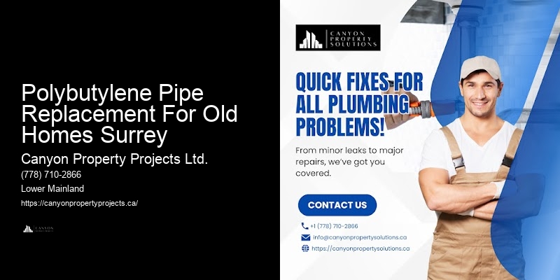 Custom Polybutylene Pipe Replacement Polybutylene Pipe Replacement For Old Homes Surrey