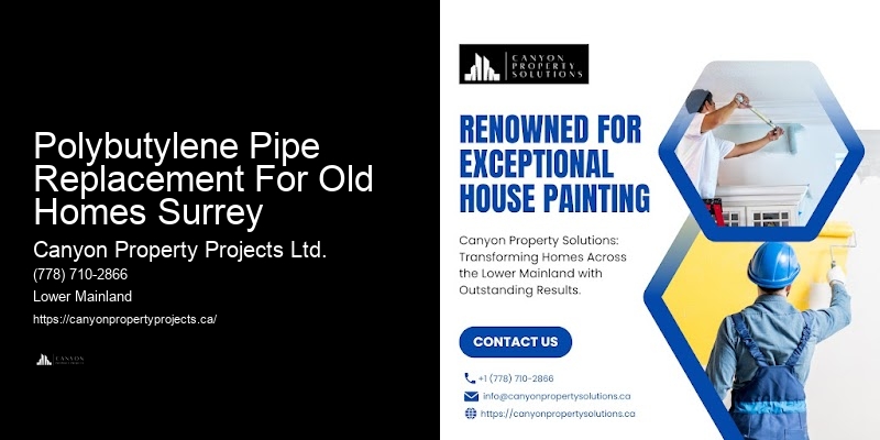 Expert Polybutylene Pipe Evaluation Polybutylene Pipe Replacement For Old Homes Surrey
