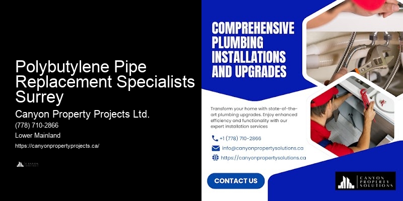 Polybutylene Pipe Replacement for Condos Polybutylene Pipe Replacement Specialists Surrey
