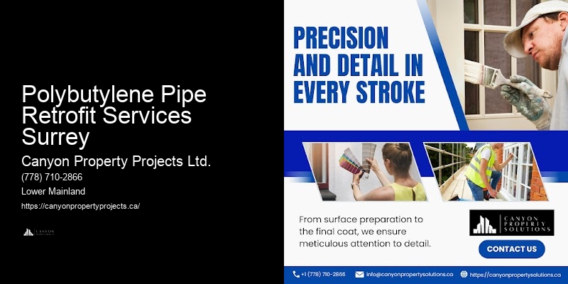 Polybutylene Plumbing Replacement Plan Polybutylene Pipe Retrofit Services Surrey