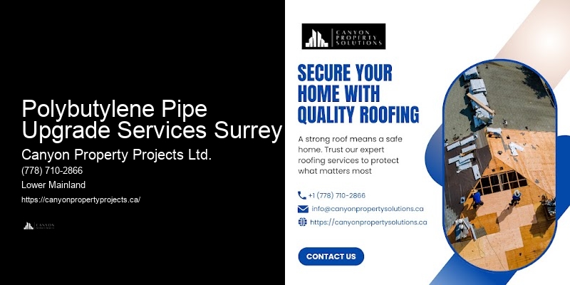 Polybutylene Plumbing Installation Guides Polybutylene Pipe Upgrade Services Surrey