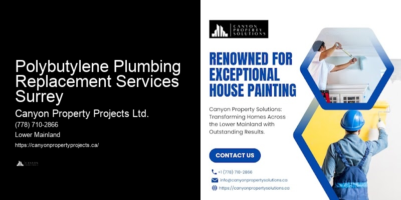 Polybutylene Plumbing Replacement Services Surrey Licensed Polybutylene Plumbers