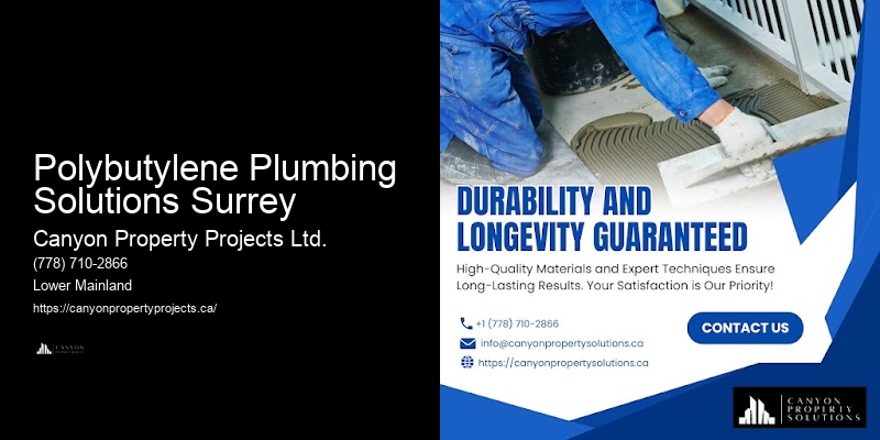 Polybutylene Pipe Replacement Consultation Services Polybutylene Plumbing Solutions Surrey