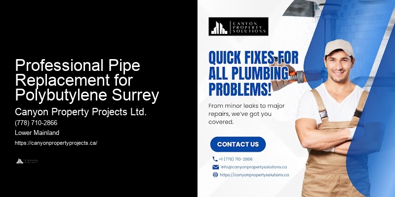 Affordable Polybutylene Pipe Inspection Professional Pipe Replacement for Polybutylene Surrey