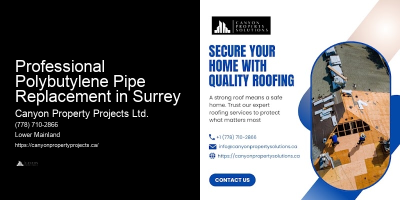 Polybutylene Pipe Replacement Quality Assurance Professional Polybutylene Pipe Replacement in Surrey
