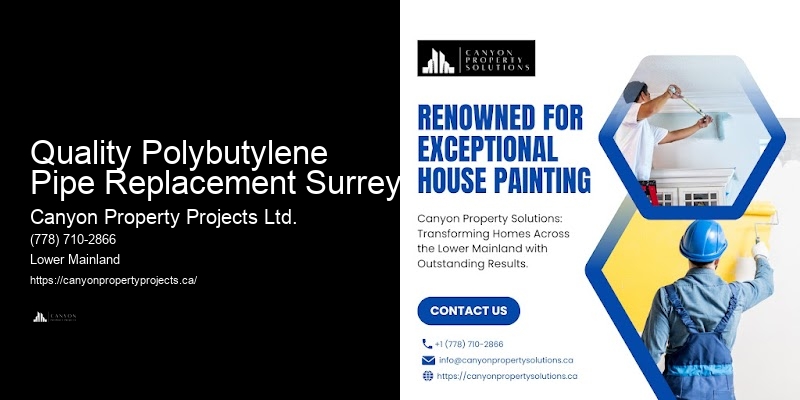 Polybutylene Pipe Connection Repair Quality Polybutylene Pipe Replacement Surrey