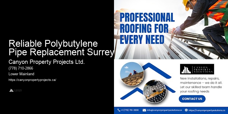 Expert Polybutylene Pipe Leak Services Reliable Polybutylene Pipe Replacement Surrey