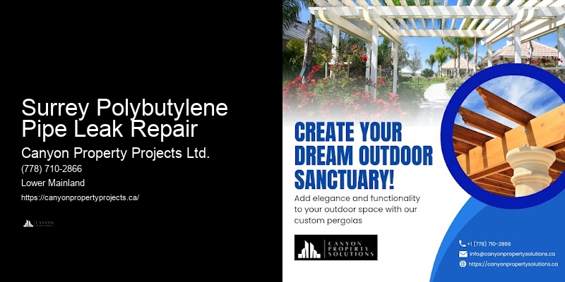 Polybutylene Pipe Removal Professionals Surrey Polybutylene Pipe Leak Repair