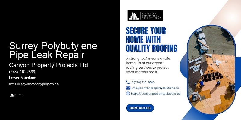 Surrey Polybutylene Pipe Leak Repair Polybutylene Pipe Experts