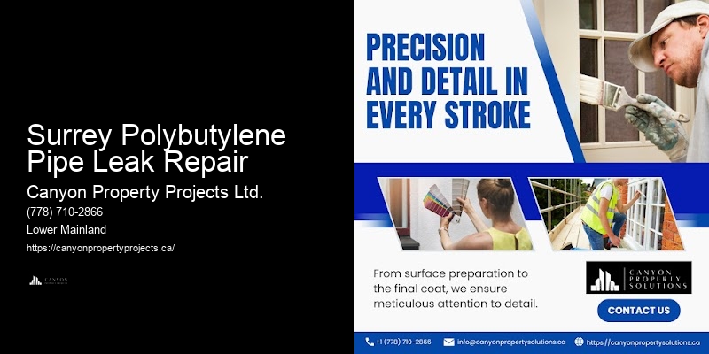Polybutylene Plumbing Troubleshooting Tips Surrey Polybutylene Pipe Leak Repair