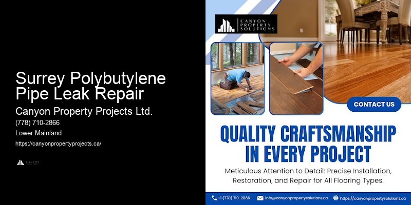 Surrey Polybutylene Pipe Leak Repair Certified Plumbers for Polybutylene
