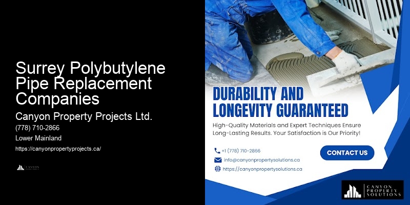 Polybutylene Pipe Upgrade Services Surrey Polybutylene Pipe Replacement Companies